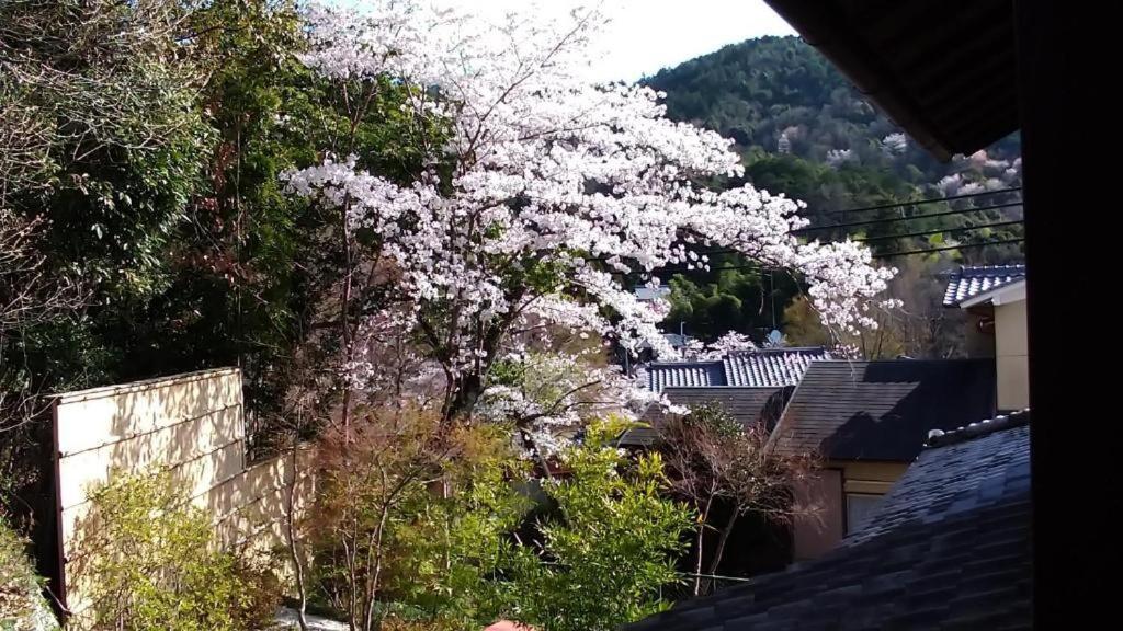 金閣荘 Hotel Kyoto Exterior foto
